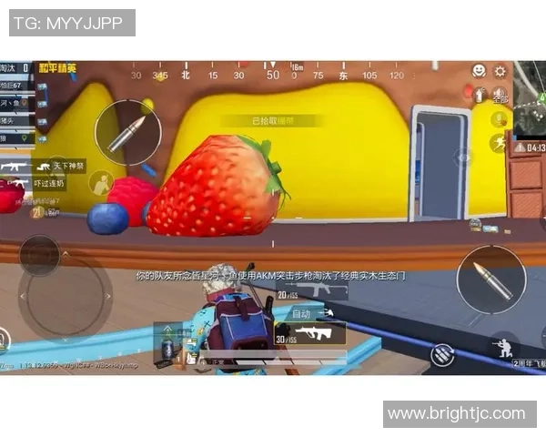 对话吴丽：谈和平精英生涯